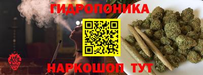 СК Севастополь