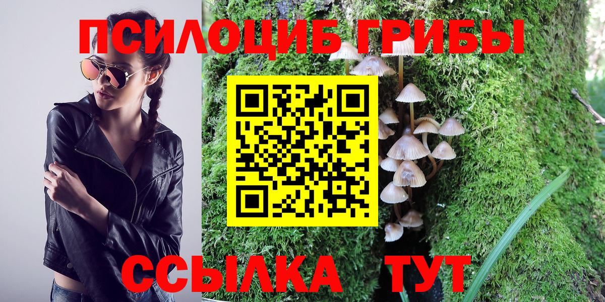 Галлюциногенные грибы MAGIC MUSHROOMS Протвино