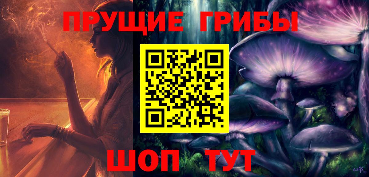 Псилоцибиновые грибы GOLDEN TEACHER  Вход с VPN  Протвино  цены наркотик  Галлюциногенные грибы Cubensis 